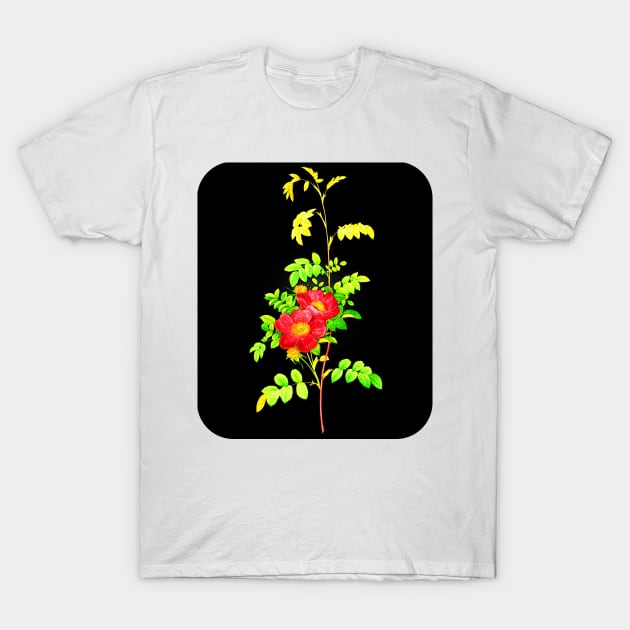 Black Panther Art - Rose Art 15 T-Shirt by The Black Panther